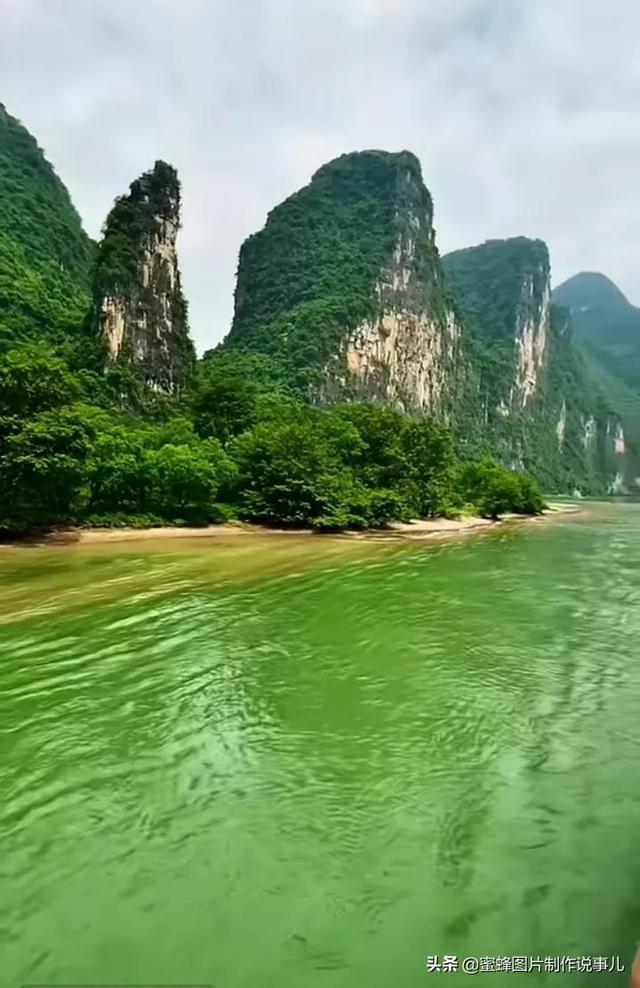 莉莉逃脱记